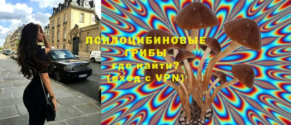гидра Заволжье
