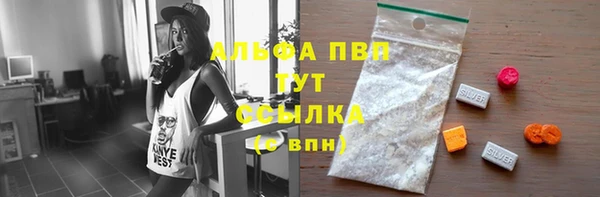 твердый Заводоуковск