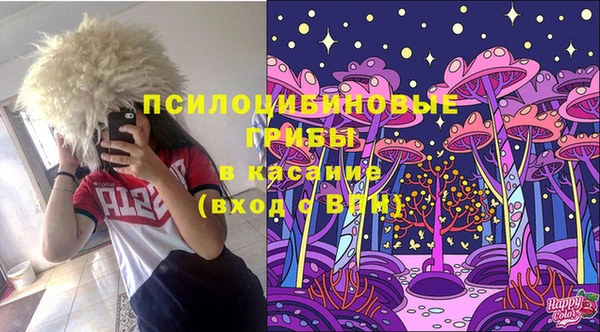 твердый Заводоуковск