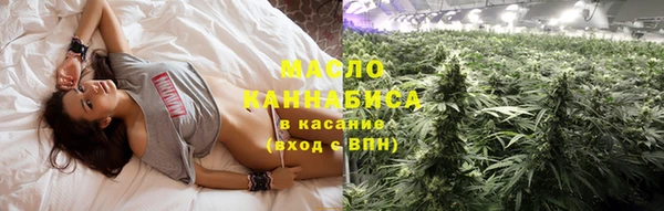 твердый Заводоуковск